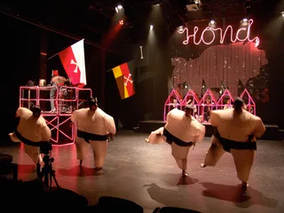 HOND HOUSE OF NATIONAL DOG — Foto 25