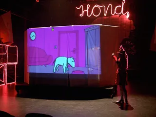 HOND HOUSE OF NATIONAL DOG — Foto 27
