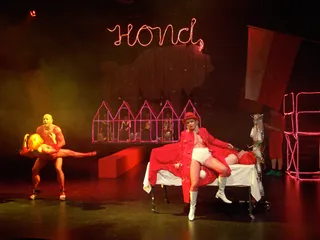 HOND HOUSE OF NATIONAL DOG — Foto 59