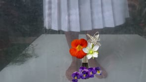 BLUMEN