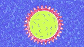 VERGANGENHEIT