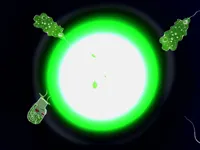 DIE WELT ZITTERT — Videostill